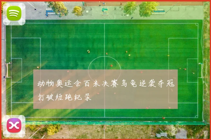 动物奥运会百米决赛乌龟逆袭夺冠打破短跑纪录