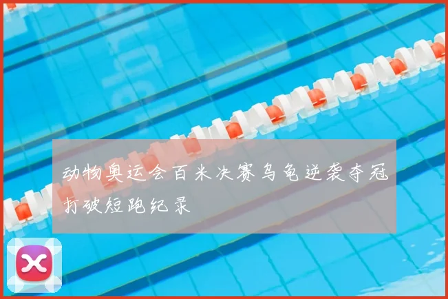 动物奥运会百米决赛乌龟逆袭夺冠打破短跑纪录