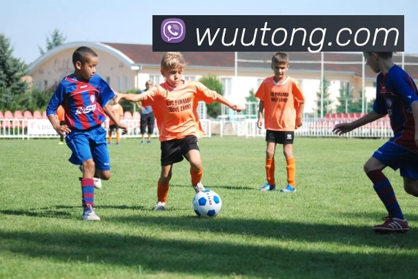 多媒体互动体验